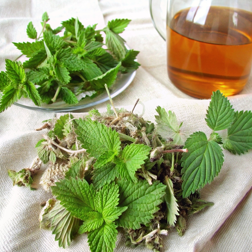 Raspberry Leaf Tea Drink: Safe Timing, Labor‑Boosting Benefits & Prep Guide