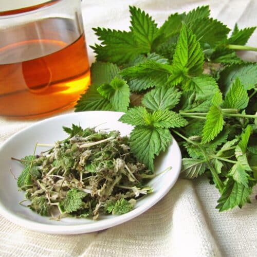 raspberry leaf tea recipe card with ingredients