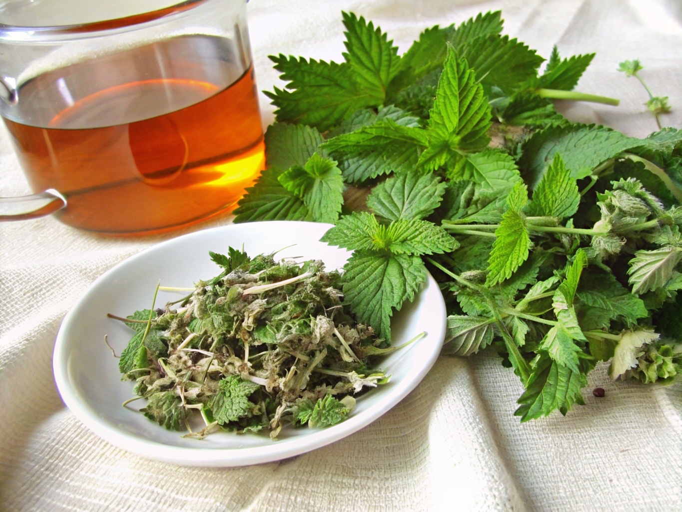 raspberry leaf tea recipe card with ingredients