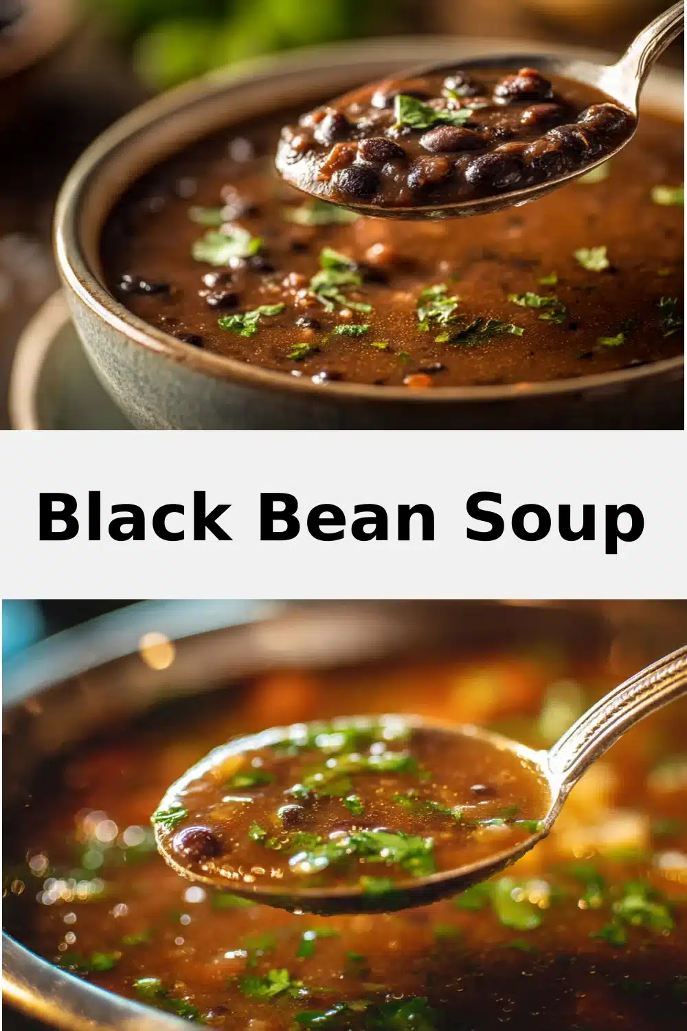 Black Bean Soup