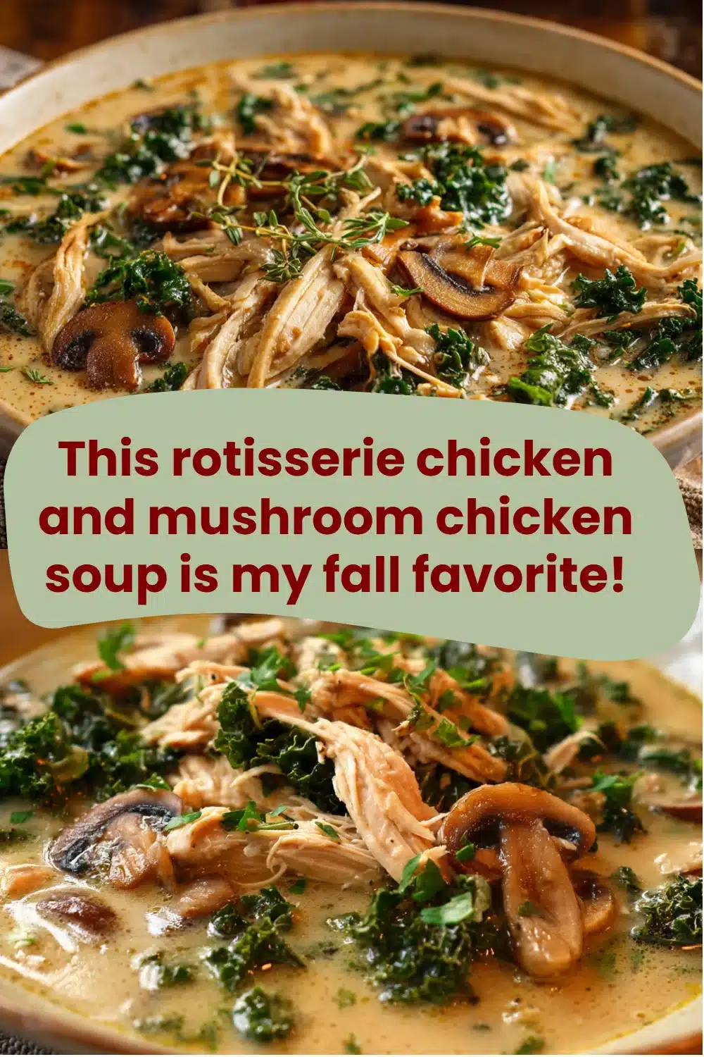 This rotisserie chicken and mushroom chicken soup is my fall favorite!